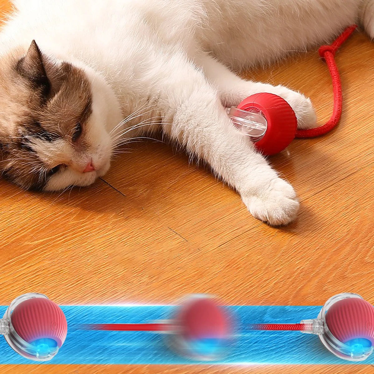 Interactive Smart Cat Ball with LED Lights Battery Operated Toy for Kittens And Cats Interactive Moving Ball