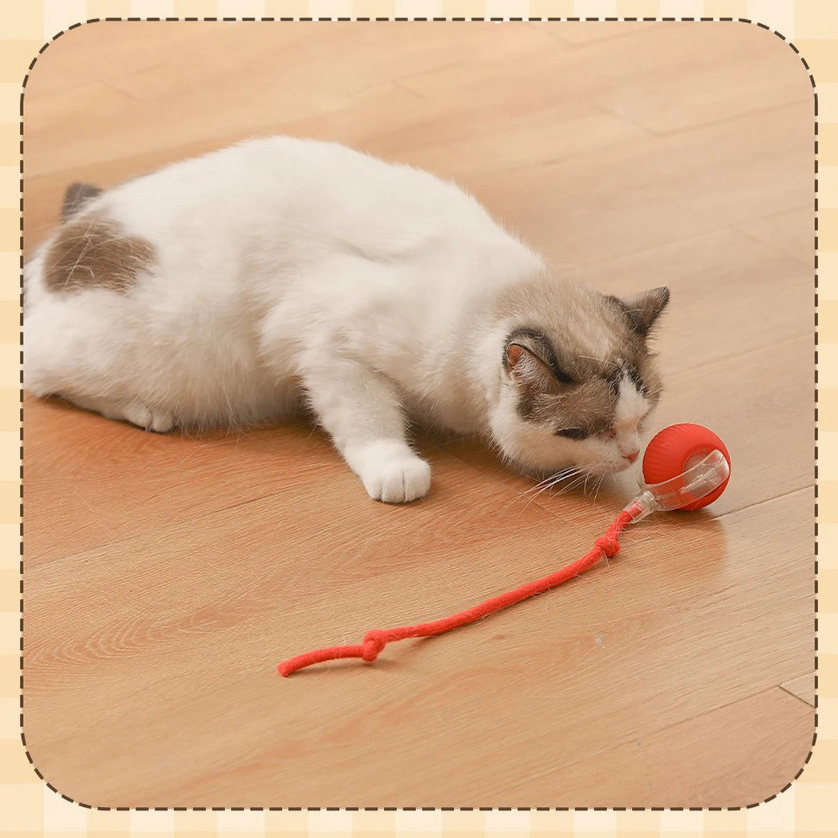 Interactive Smart Cat Ball with LED Lights Battery Operated Toy for Kittens And Cats Interactive Moving Ball