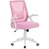 Beige Desk Chair Mid-back Swivel Ergonomic Office Chair With Adjustable Arms Mesh Lumbar Support for Computer Task Work Gaming