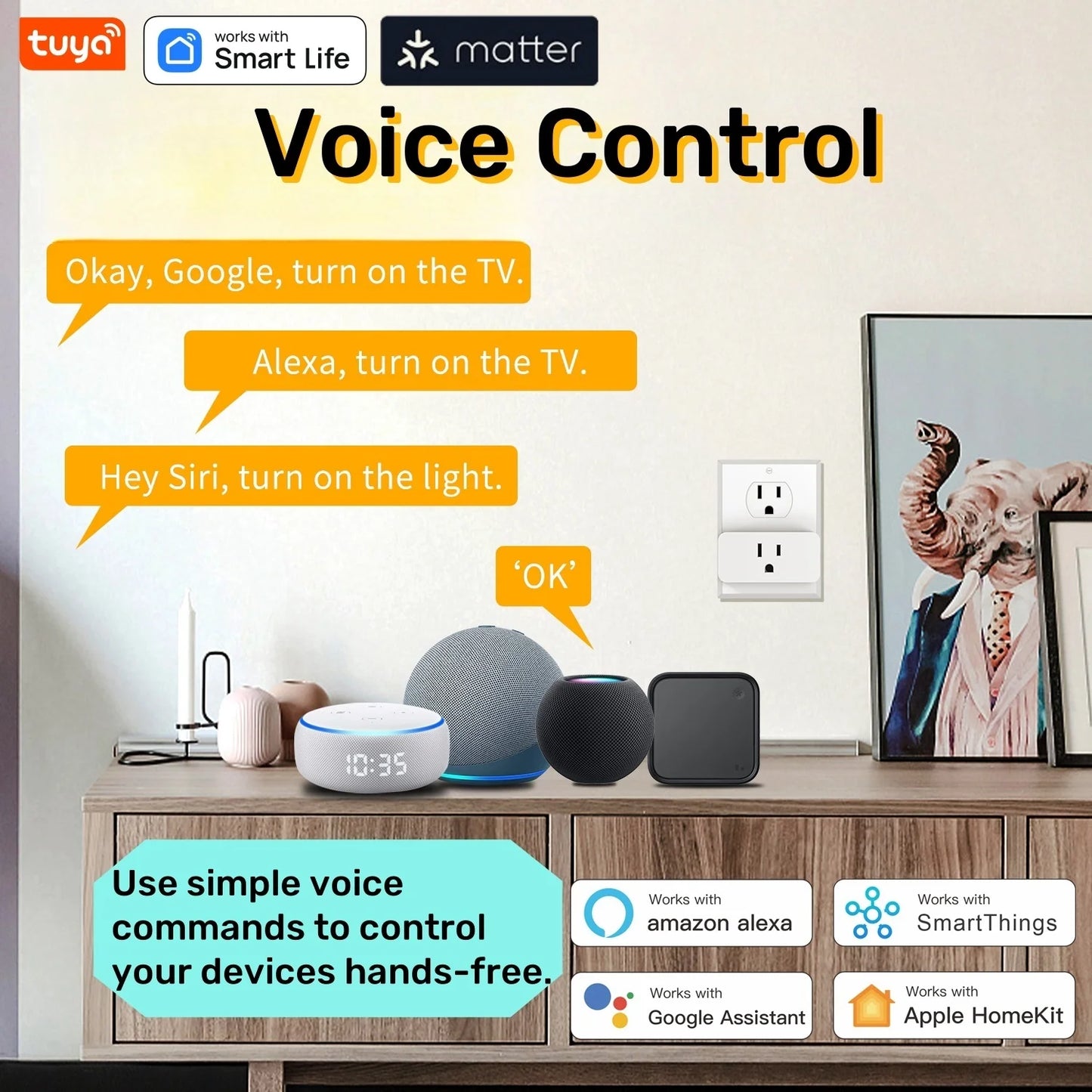 Matter WiFi Mini Smart Socket 10A US Timeing Wireless Voice Control Smart Life App Works With Tuya Homekit Alexa Google Home
